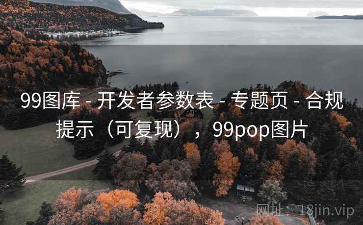 99图库 - 开发者参数表 专题页 合规提示（可复现），99pop图片  第2张